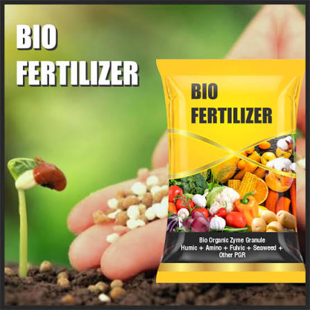 Azotobacter Bio-Fertilizer variant